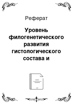 Реферат: Уровень филогенетического развития гистологического состава и специализации элементов представителей различных типов древесины