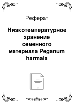 Реферат: Низкотемпературное хранение семенного материала Peganum hаrmala
