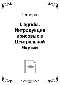 Реферат: I. tigridia. Интродукция ирисовых в Центральной Якутии