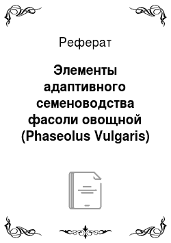 Реферат: Элементы адаптивного семеноводства фасоли овощной (Phaseolus Vulgaris)