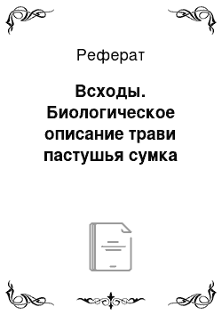 Реферат: Всходы. Биологическое описание трави пастушья сумка