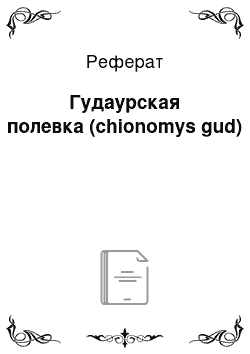 Реферат: Гудаурская полевка (chionomys gud)