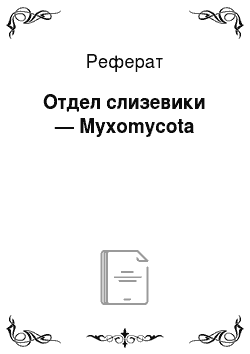 Реферат: Отдел слизевики — Myxomycota