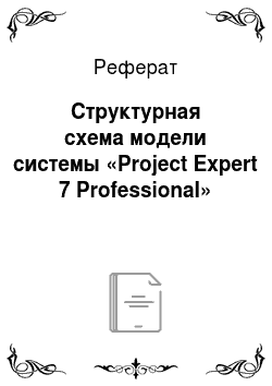 Реферат: Структурная схема модели системы «Project Expert 7 Professional»