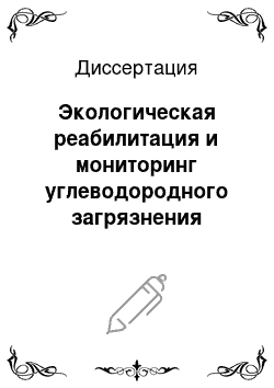 Диссертация: Экологическая реабилитация и мониторинг углеводородного загрязнения геологической среды: на примере аэродромного хозяйства в Московской области