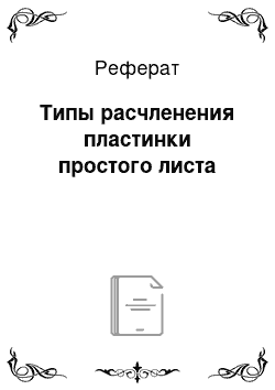 Реферат: Типы расчленения пластинки простого листа