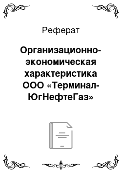 Реферат: Организационно-экономическая характеристика ООО «Терминал-ЮгНефтеГаз»