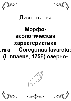 Диссертация: Морфо-экологическая характеристика сига — Coregonus lavaretus (Linnaeus, 1758) озерно-речных систем Средней Карелии