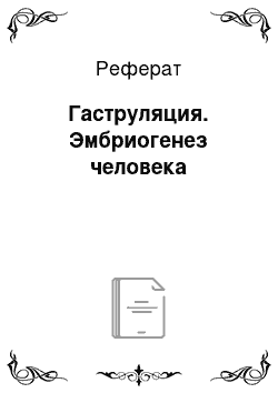 Реферат: Гаструляция. Эмбриогенез человека