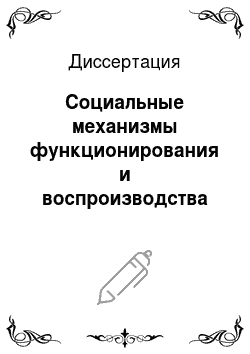Диссертация: Социальные механизмы функционирования и воспроизводства неформального сектора экономики в системе рыночного хозяйства современной России
