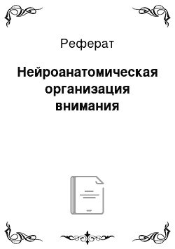 Реферат: Нейроанатомическая организация внимания