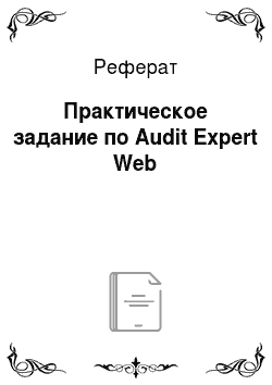 Реферат: Практическое задание по Audit Expert Web
