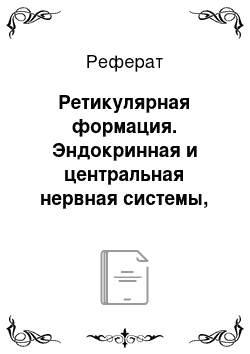 Реферат: Ретикулярная формация. Эндокринная и центральная нервная системы, высшая нервная деятельность, анализаторы, этология