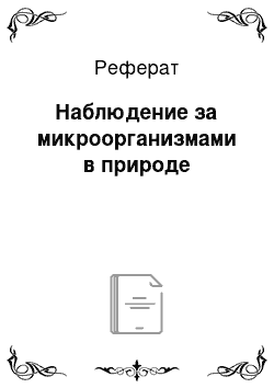 Реферат: Наблюдение за микроорганизмами в природе