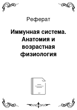 Реферат: Иммунная система. Анатомия и возрастная физиология