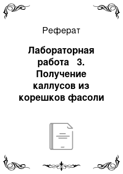 Реферат: Лабораторная работа № 3. Получение каллусов из корешков фасоли