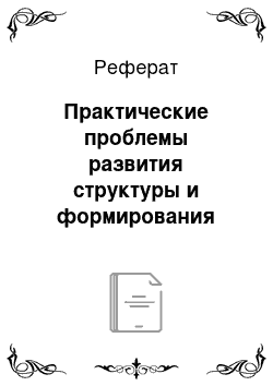 Реферат: Практические проблемы развития структуры и формирования инфраструктуры отечественного товарного рынка