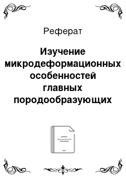 Реферат: Изучение микродеформационных особенностей главных породообразующих минералов