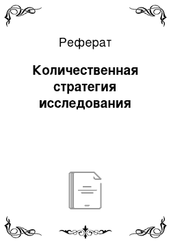 Реферат: Количественная стратегия исследования