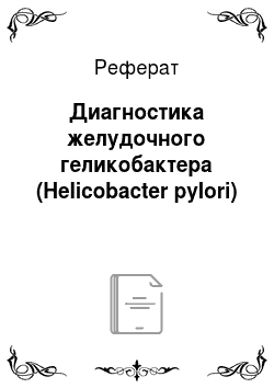 Реферат: Диагностика желудочного геликобактера (Helicobacter pylori)