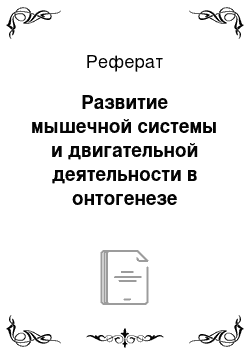 Реферат: Развитие мышечной системы и двигательной деятельности в онтогенезе