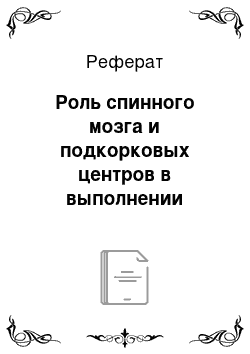 Реферат: Роль спинного мозга и подкорковых центров в выполнении мимических движений