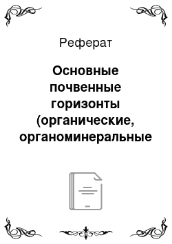 Реферат: Основные почвенные горизонты (органические, органоминеральные и минеральные)