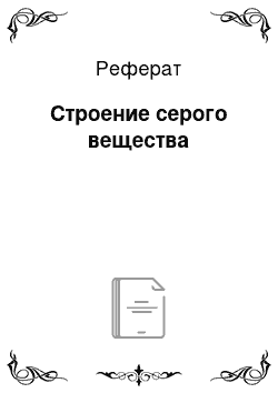 Реферат: Строение серого вещества