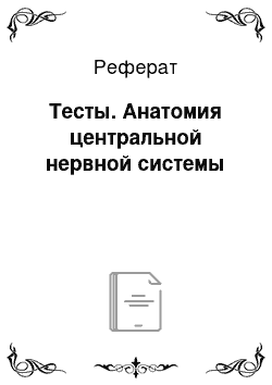 Реферат: Тесты. Анатомия центральной нервной системы