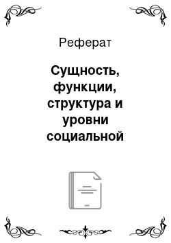 Реферат: Сущность, функции, структура и уровни социальной работы