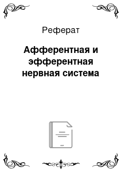 Реферат: Афферентная и эфферентная нервная система