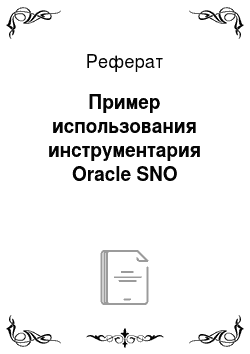 Реферат: Пример использования инструментария Oracle SNO