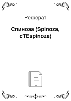 Реферат: Спиноза (Spinoza, cTEspinoza)