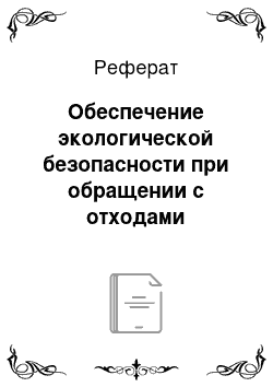 Реферат: Обеспечение экологической безопасности при обращении с отходами