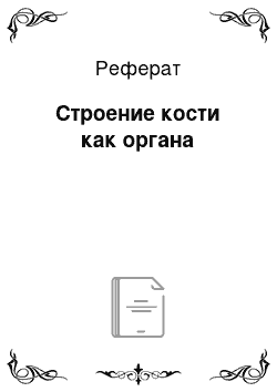 Реферат: Строение кости как органа