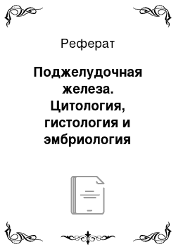 Реферат: Поджелудочная железа. Цитология, гистология и эмбриология