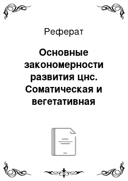 Реферат: Основные закономерности развития цнс. Соматическая и вегетативная нервные системы