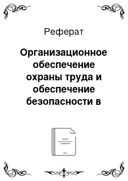 Реферат: Организационное обеспечение охраны труда и обеспечение безопасности в ДОУ