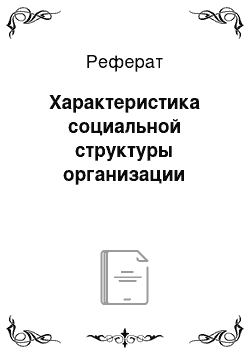 Реферат: Характеристика социальной структуры организации