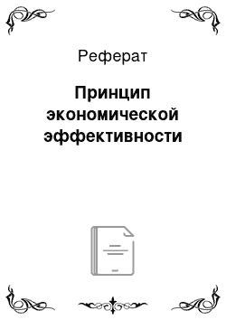 Реферат: Принцип экономической эффективности