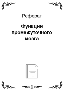 Реферат: Функции промежуточного мозга