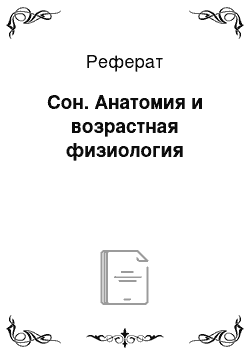 Реферат: Сон. Анатомия и возрастная физиология