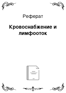 Реферат: Кровоснабжение и лимфооток