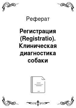 Реферат: Регистрация (Registratio). Клиническая диагностика собаки