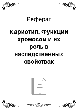 Реферат: Кариотип. Функции хромосом и их роль в наследственных свойствах организмов