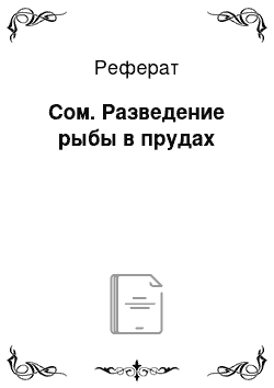 Реферат: Сом. Разведение рыбы в прудах