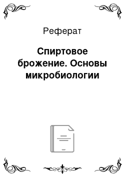 Реферат: Спиртовое брожение. Основы микробиологии