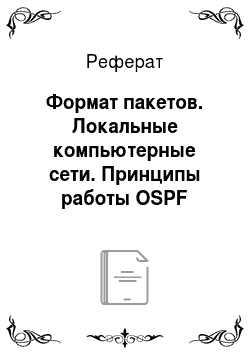 Реферат: Формат пакетов. Локальные компьютерные сети. Принципы работы OSPF