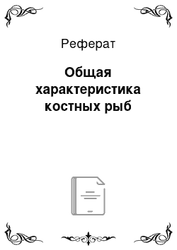 Реферат: Общая характеристика костных рыб