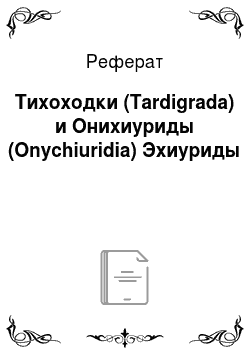 Реферат: Тихоходки (Tardigrada) и Онихиуриды (Onychiuridia) Эхиуриды